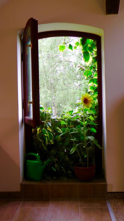 Appartement Blumenhaus à Velten Extérieur photo